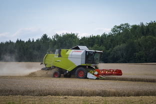 九游（jiuyou.com）游戏-田径跨项目交流营探索协同训练新方式，田径跨栏的动作讲解